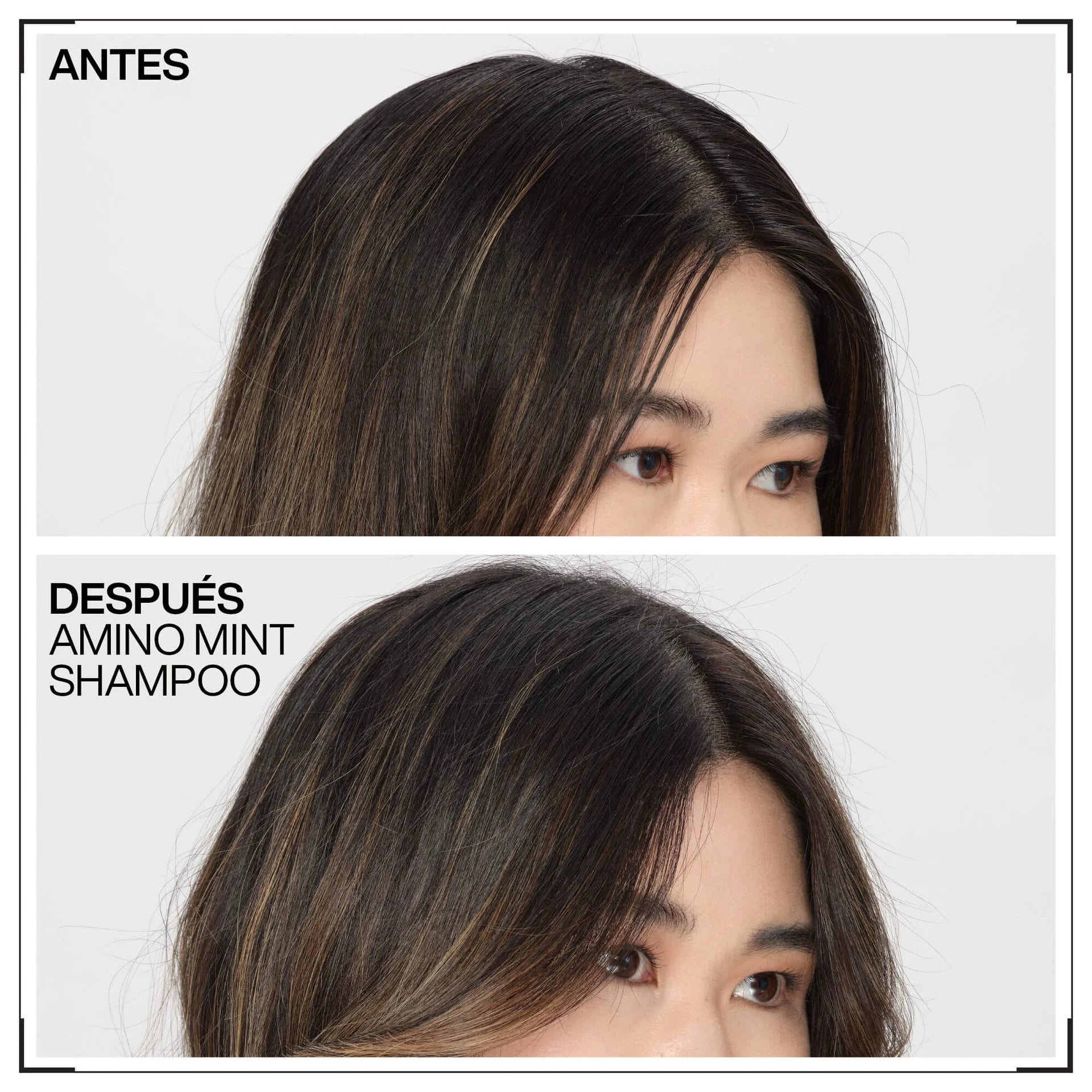 Redken Champú Amino-Mint