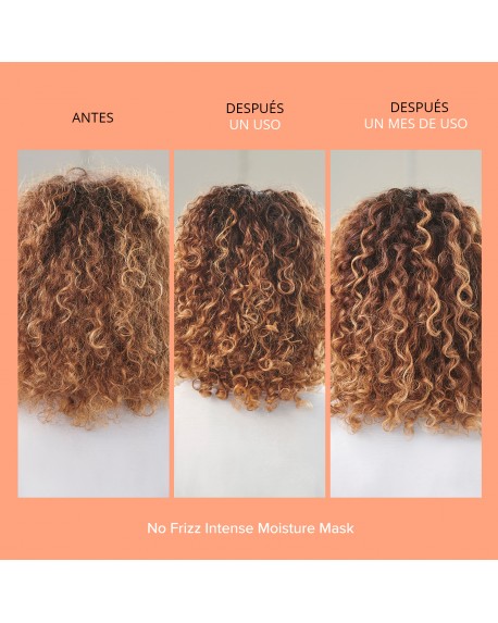 Living Proof No Frizz Intense Moisture Mask