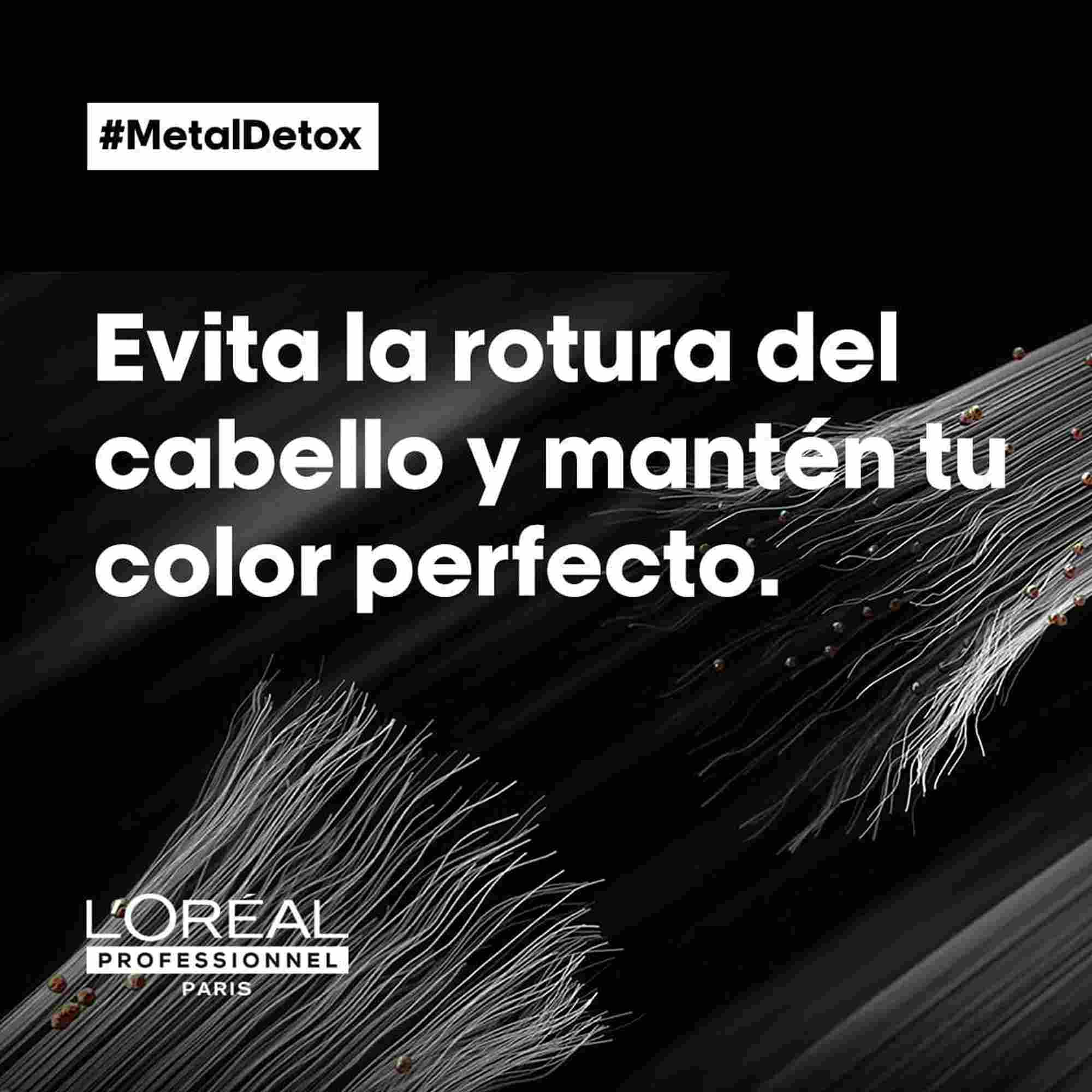 L'Oréal Professionnel Metal Detox Champú – Champú Anti-Metales para Cabello Coloreado y Dañado 300 ml