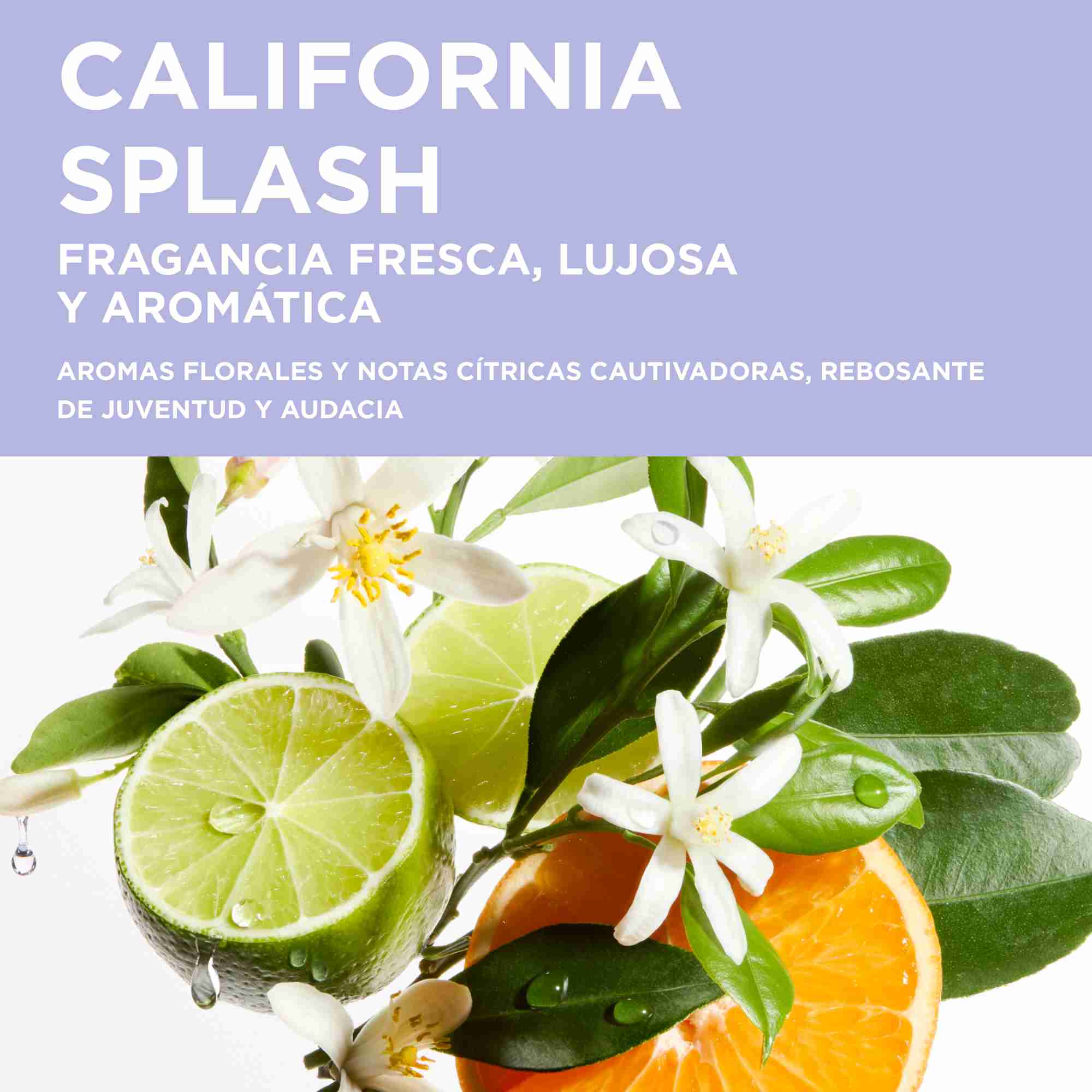 Kérastase Blond Absolu Bain Ultra-Violet – Champú Matizador Anti Amarillos