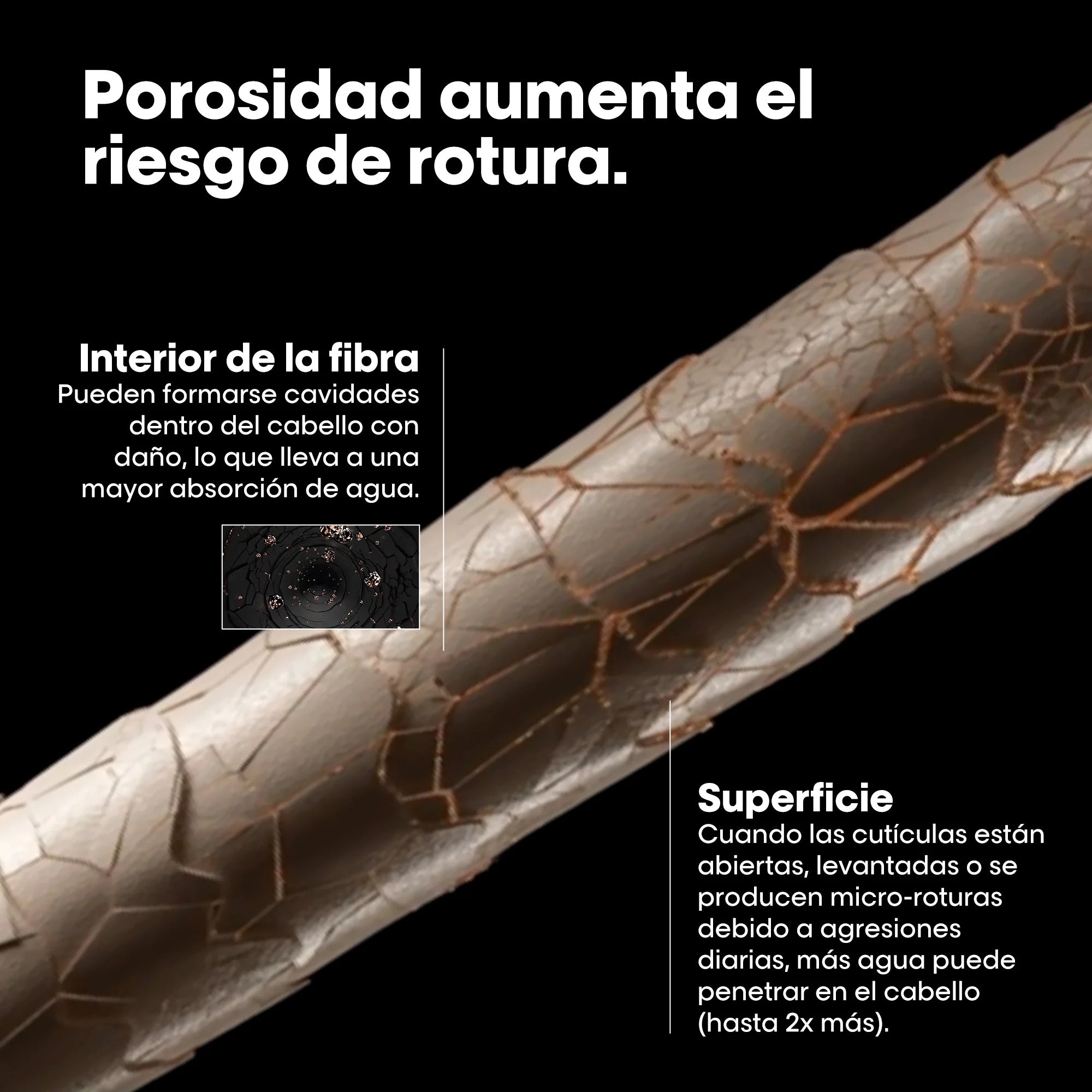 L'Oréal Professionnel Metal Detox Pre-Champú – Tratamiento Antiporosidad y Antirrotura