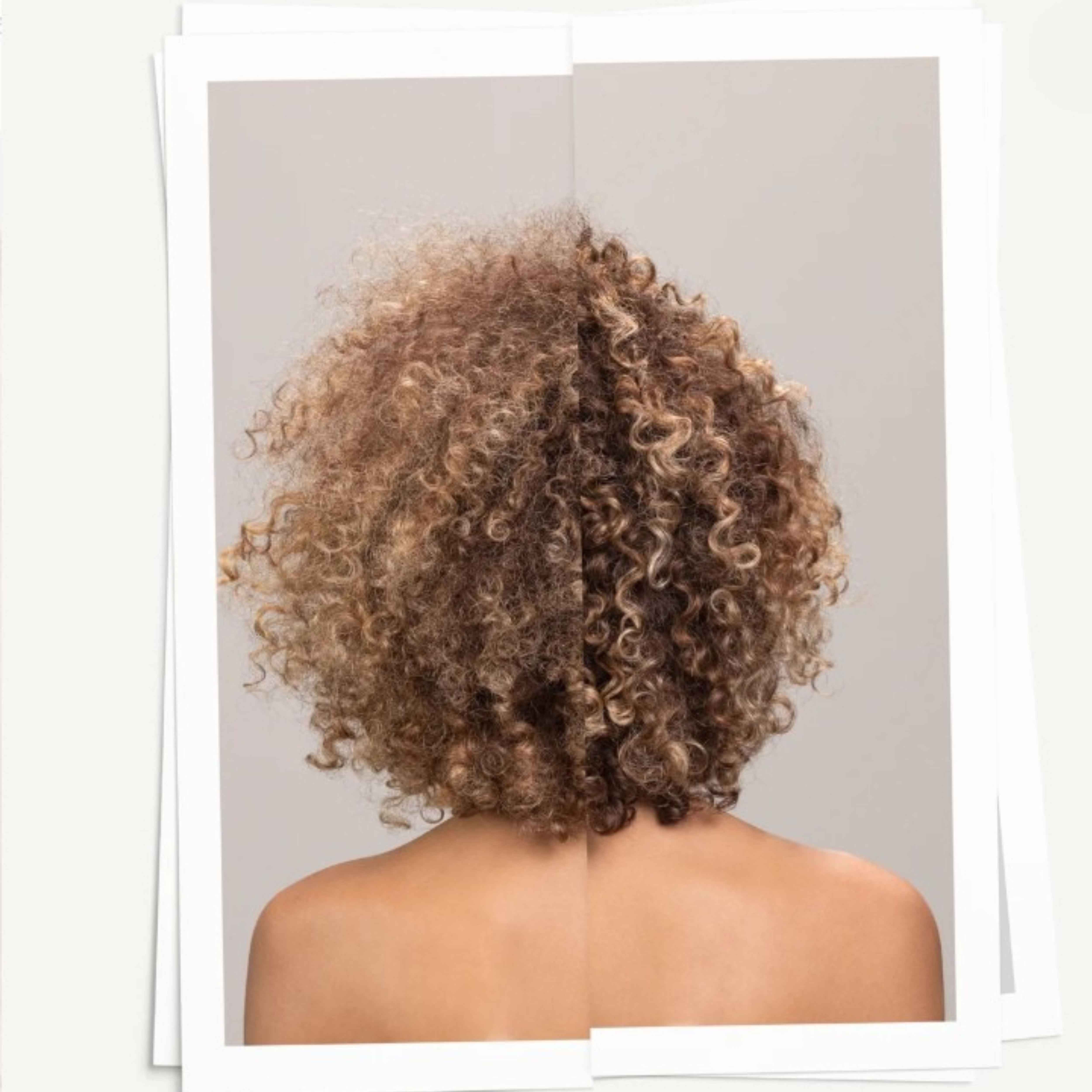 Davines OI Oil