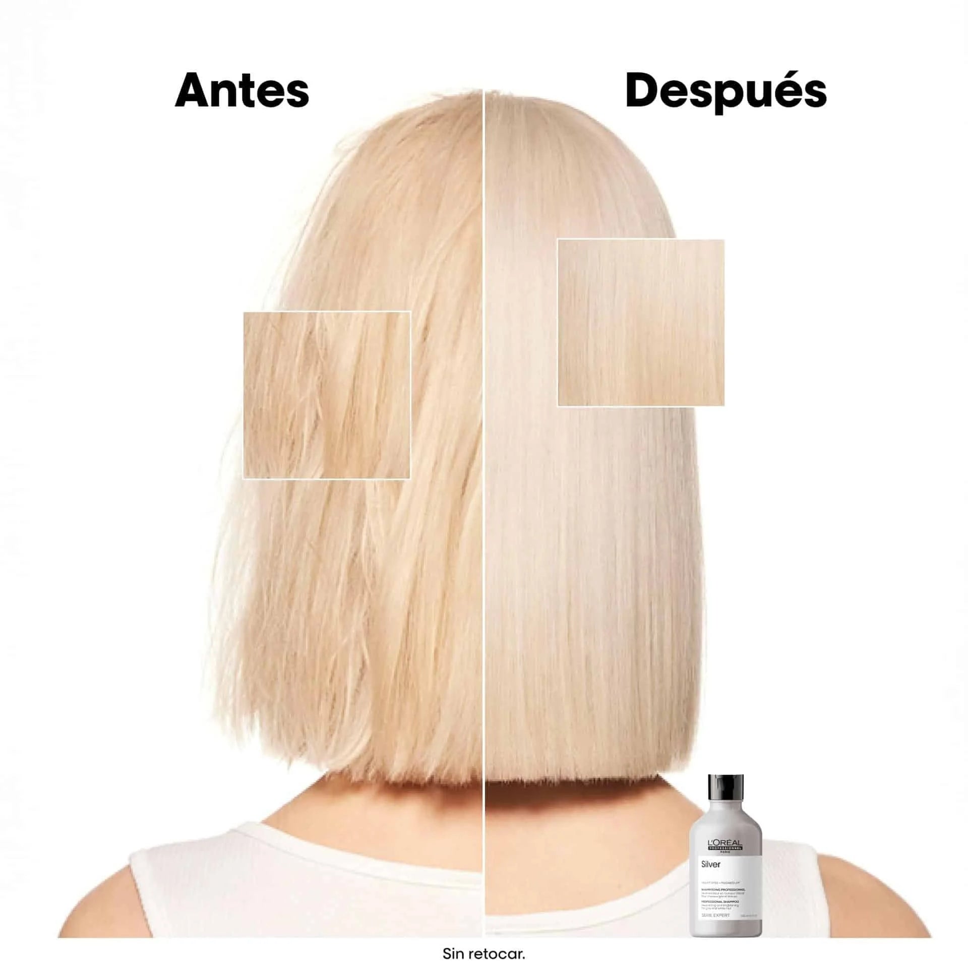 L'Oréal Professionnel Serie Expert Silver – Champú Matizador para Cabello Gris y Blanco
