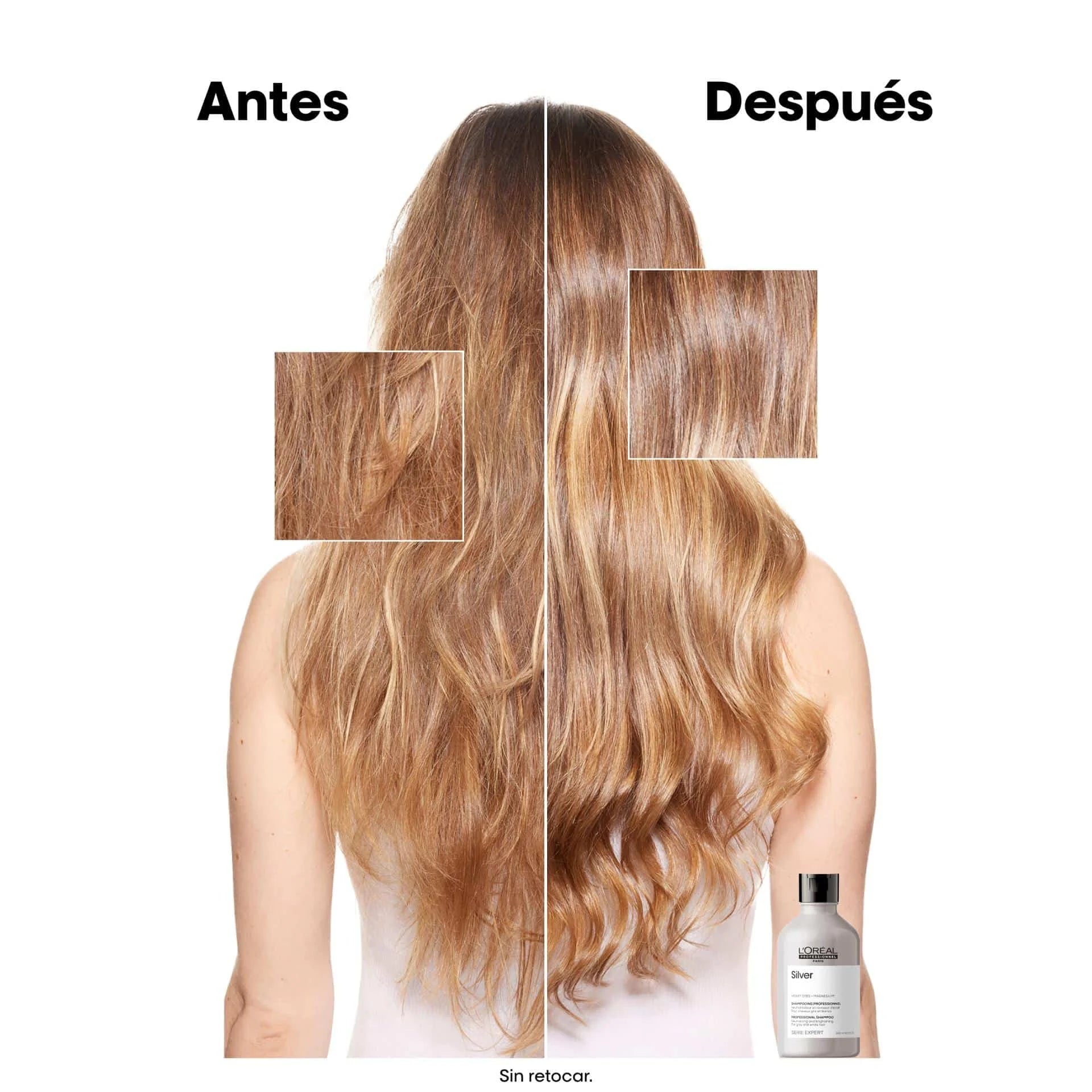 L'Oréal Professionnel Serie Expert Silver – Champú Matizador para Cabello Gris y Blanco