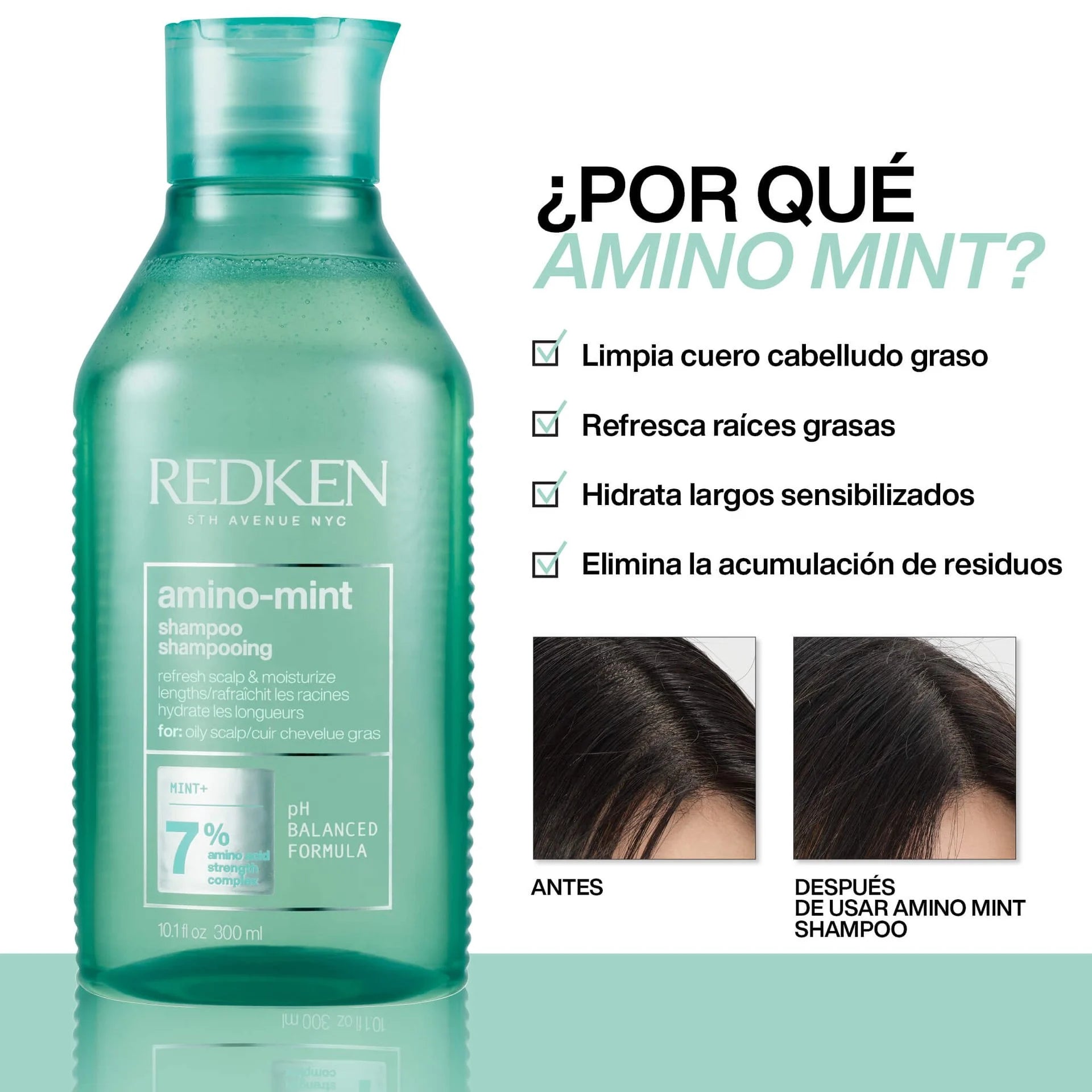 Redken Champú Amino-Mint